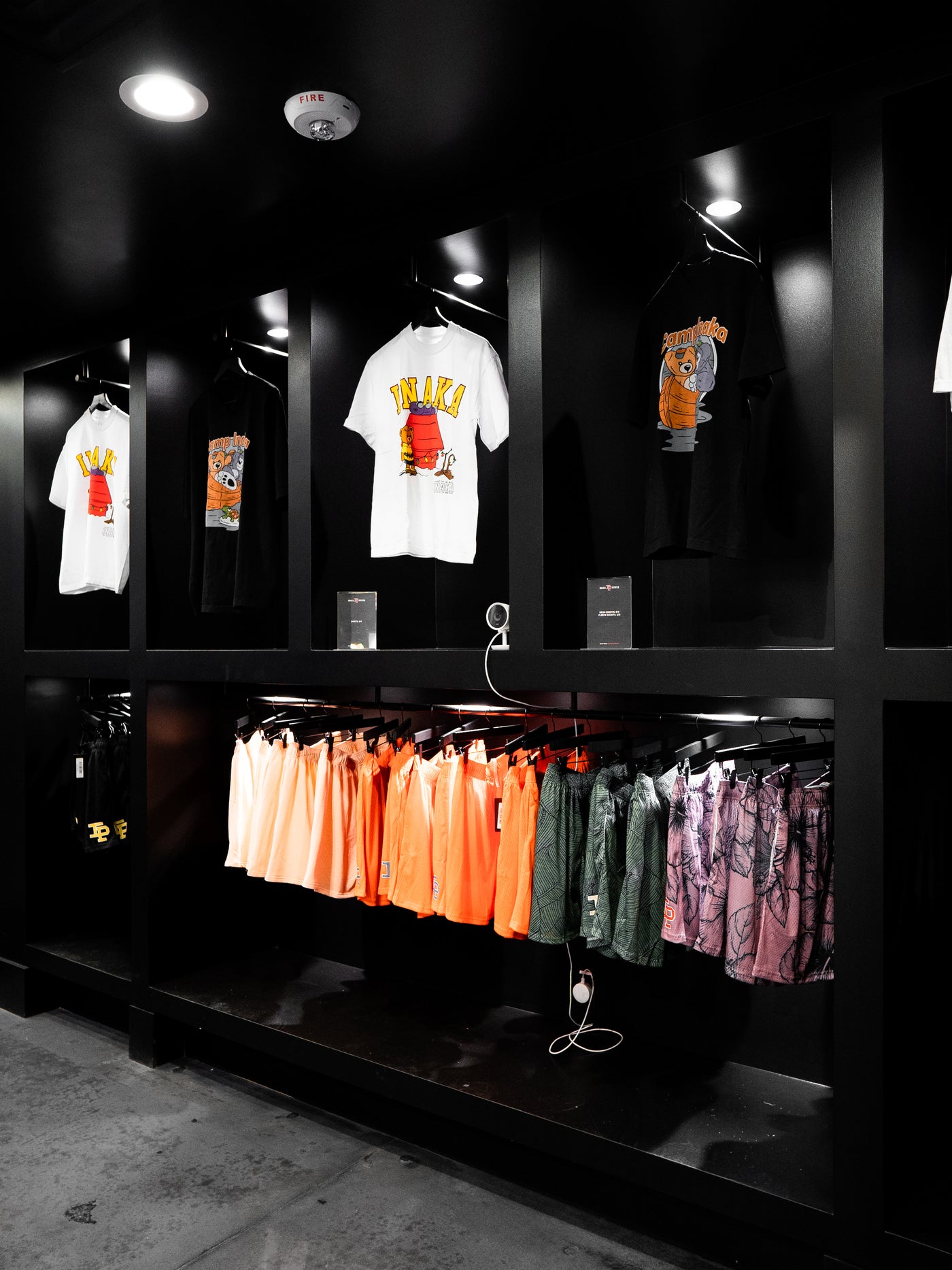 Alphaland - Learn More. Dream More. Be More. – Alphaland Store