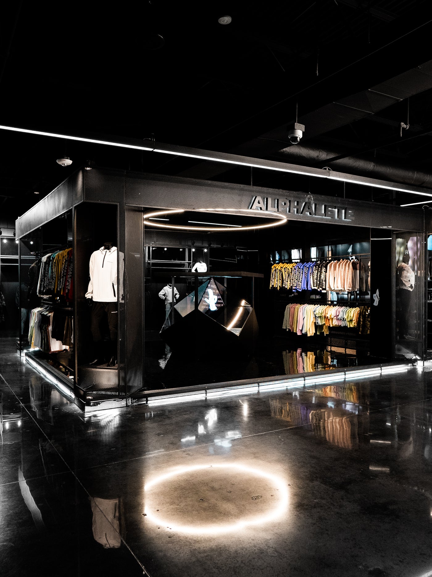 Alphaland - Learn More. Dream More. Be More. – Alphaland Store