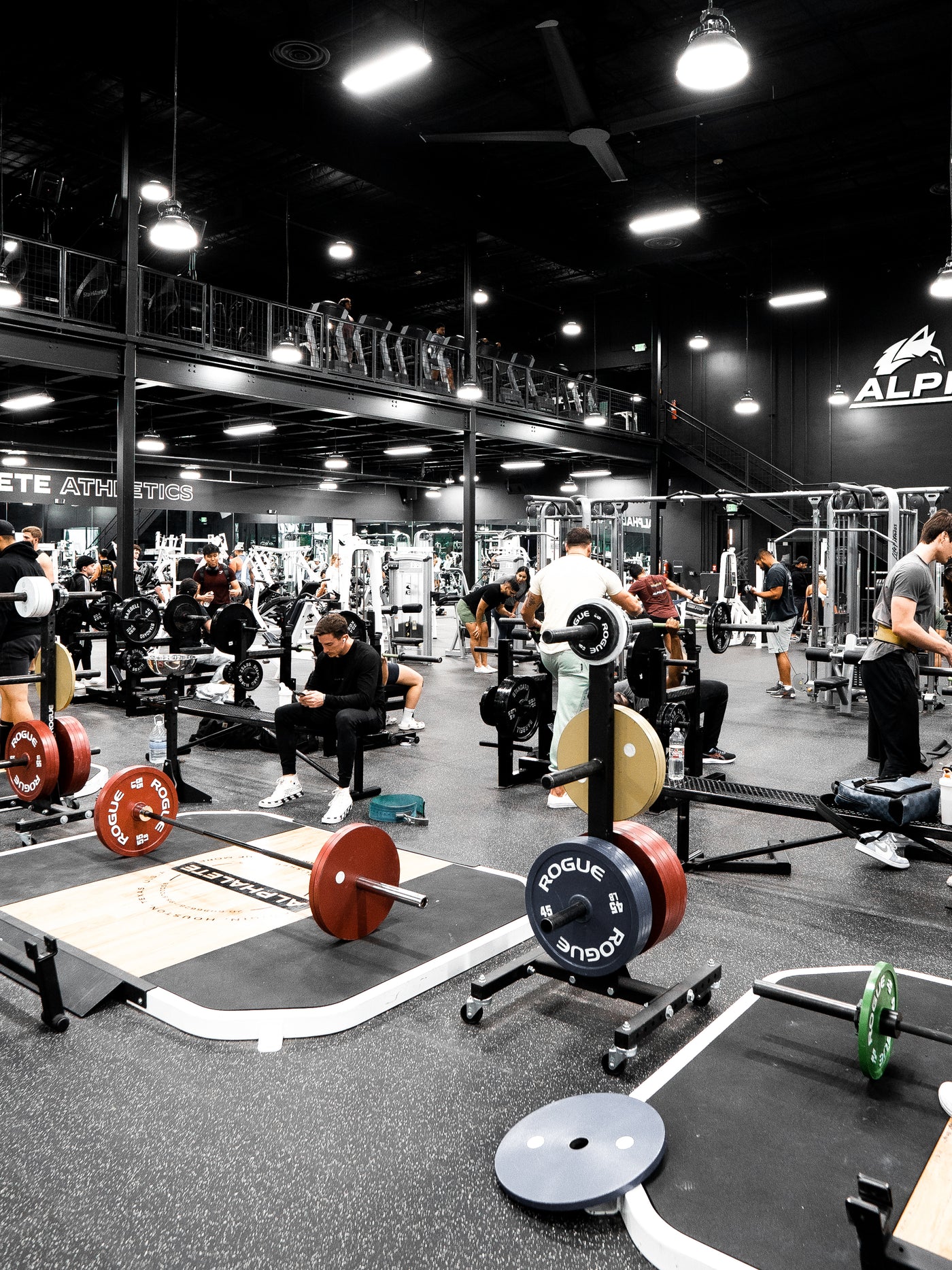 Alphaland - Learn More. Dream More. Be More. – Alphaland Store