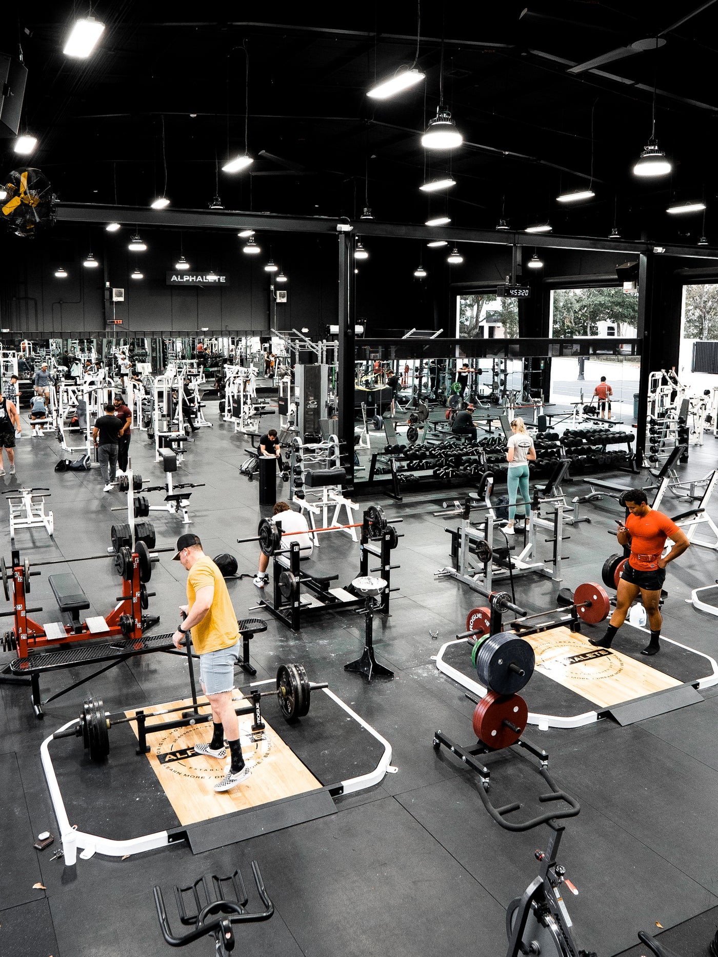 Alphaland - Learn More. Dream More. Be More. – Alphaland Store